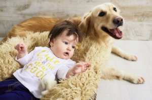 Puppies and babies Selecting Photos for Billboards