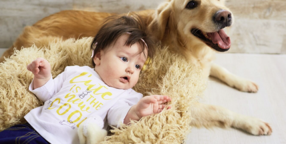 Puppies and babies Selecting Photos for Billboards